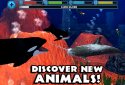 Orca Simulator screenshot 5