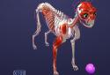 Idle Pet - Create cell by cell screenshot 7