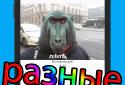 Кишеньковий деб screenshot 3