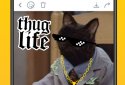 Memasik - Meme Maker Free screenshot 2