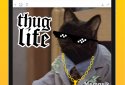 Memasik - Meme Maker Free screenshot 9