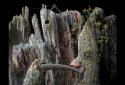Samorost 1 screenshot 4