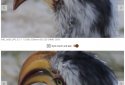 Photo Compare screenshot 7