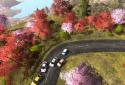 Rush Rally Origins screenshot 7