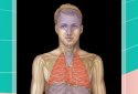 Easy Anatomy - Learn anatomy efficiently screenshot 3