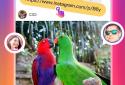 Video Downloader for Instagram screenshot 1