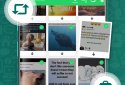 Status Saver for WhatsApp screenshot 3