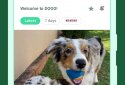 Dogo — Puppy and Dog Training screenshot 8