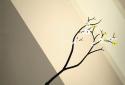 Prune+ screenshot 2