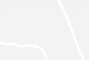 PlantNet Plant Identification screenshot 6