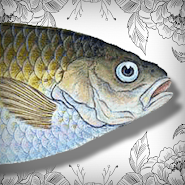 Odd Adventure of Chub, Color