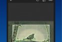 Image to PDF, jpg to pdf screenshot 3