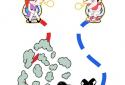 Toilet Rush Race: Draw Puzzle screenshot 5