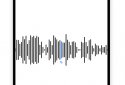 Voice Recorder screenshot 1