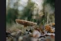 Focus &DSLR Blur–ReLens Camera screenshot 4