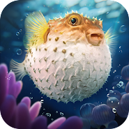 Top Fish: Океанська гра