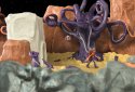 The Sense Point: Puzzle Quest screenshot 1