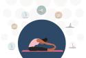 Bend: Stretching & Flexibility screenshot 1