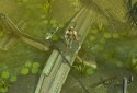 Mist: RPG horror idle action screenshot 4
