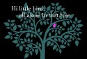 Words for a bird screenshot 1