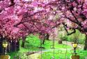 Jigsawscapes® - Jigsaw Puzzles screenshot 2