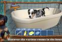 Dog World Premium - My Puppy screenshot 4
