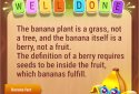 Colorwood Words - Cryptogram screenshot 6