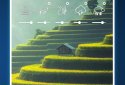Music for Meditation screenshot 8