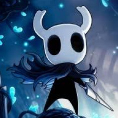 Hollow knight Олег