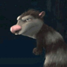 Shevka