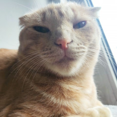 2аккаунт слит ТГК : MAMOHT_TEPPOP