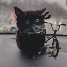 РЭД.
