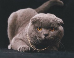 ruslan888538@gmail.com