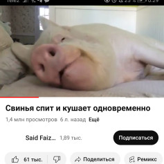 Любитель новел