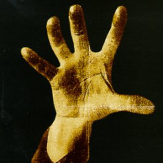 Нуно ДеДонна