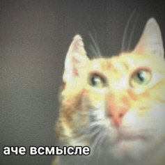 Пешка Кристи