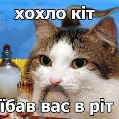 Хохло Кiт iбав вас в рiт